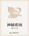 神辅系统