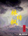 林枫传