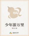 少年游万里