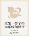 重生：带了指南系统闯异世