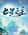 七星之主