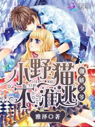 傲娇少爷：小野猫，不准逃
