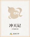 冲天记
