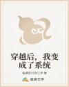 穿越后，我变成了系统