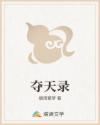夺天录